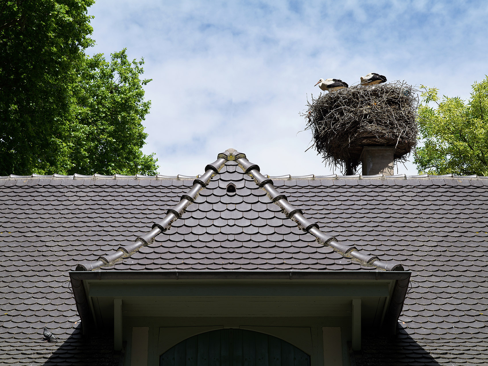 斯特拉斯堡动物园教学农场改造&游客中心，法国 / FREAKS-25