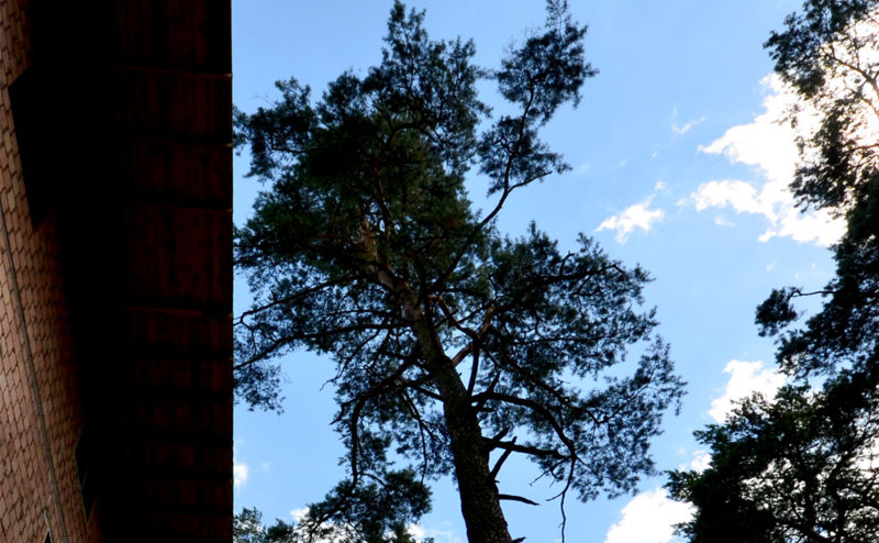 拉古纳酒店***

注：这里***一般代表酒店星级标识，但在中文里通常不直接照搬这种形式，可根据实际情况补充说明该酒店为三星级酒店 丨KM rubaszkiewicz ARCHITEKCI-5