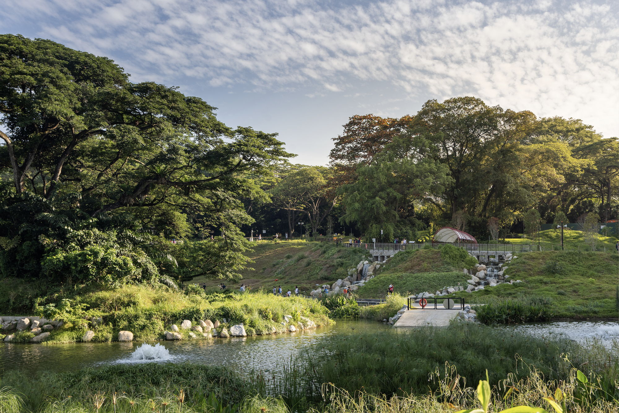 比达达利公园丨新加坡-6