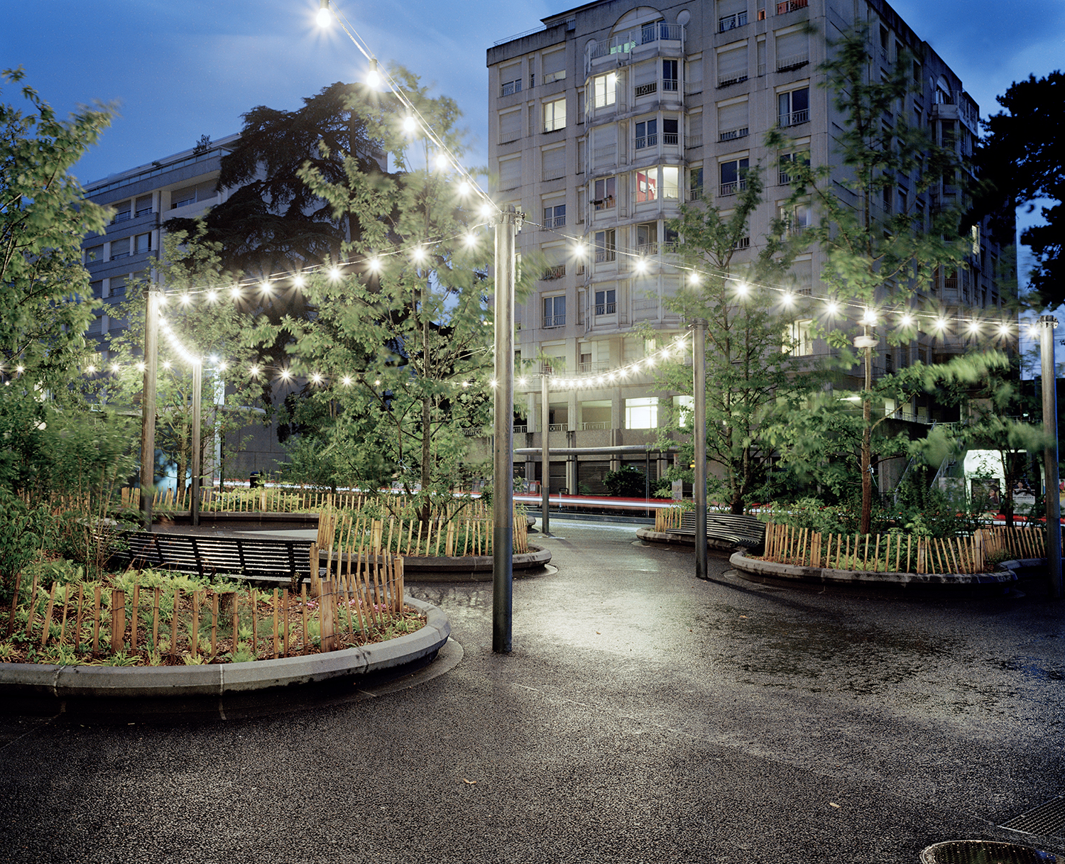 7000 Oaks 与城市生态共生的艺术设计-34