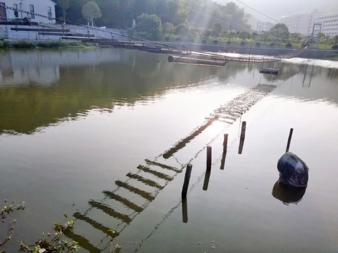 品东装饰户外团建活动 | 快乐工作，健康生活-5