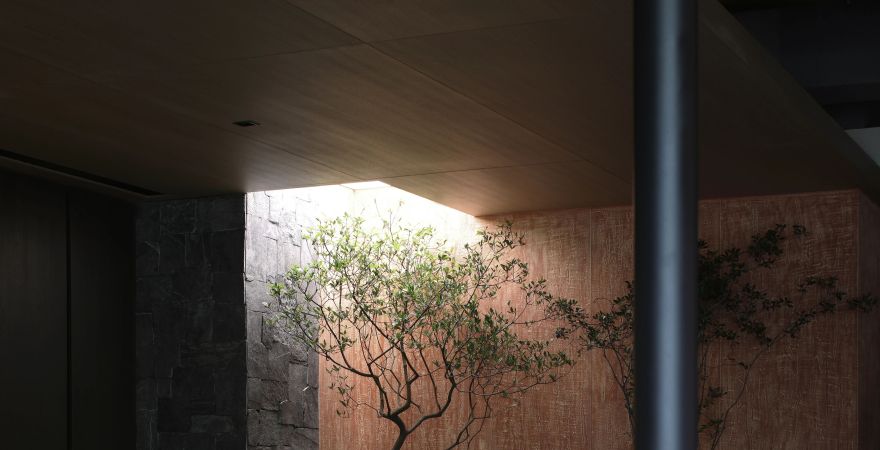 榴莲展厅丨中国厦门丨共界设计事务所-48