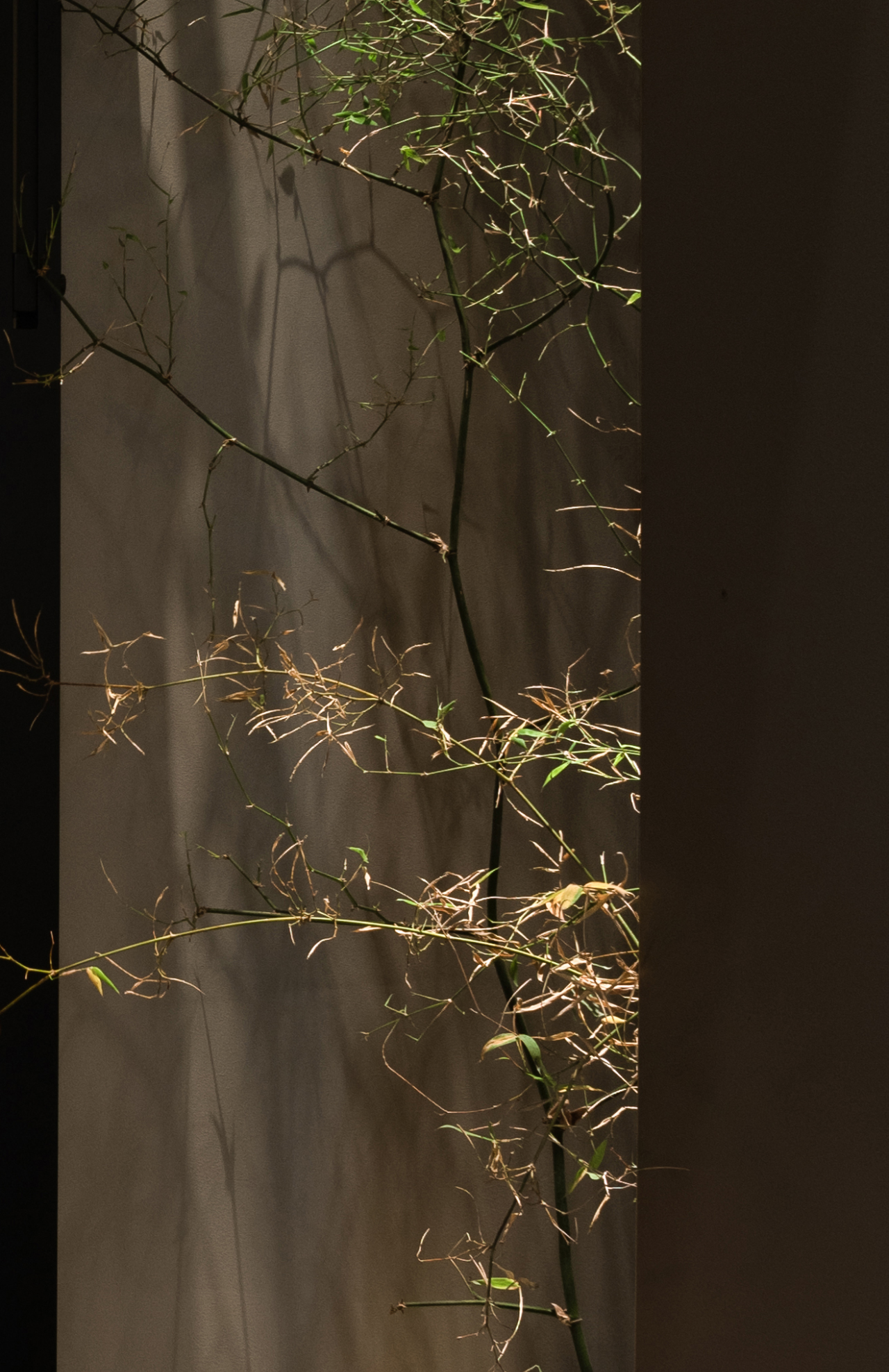 雅融轩·北辰汇店丨中国北京丨IN.X屋里门外设计-60