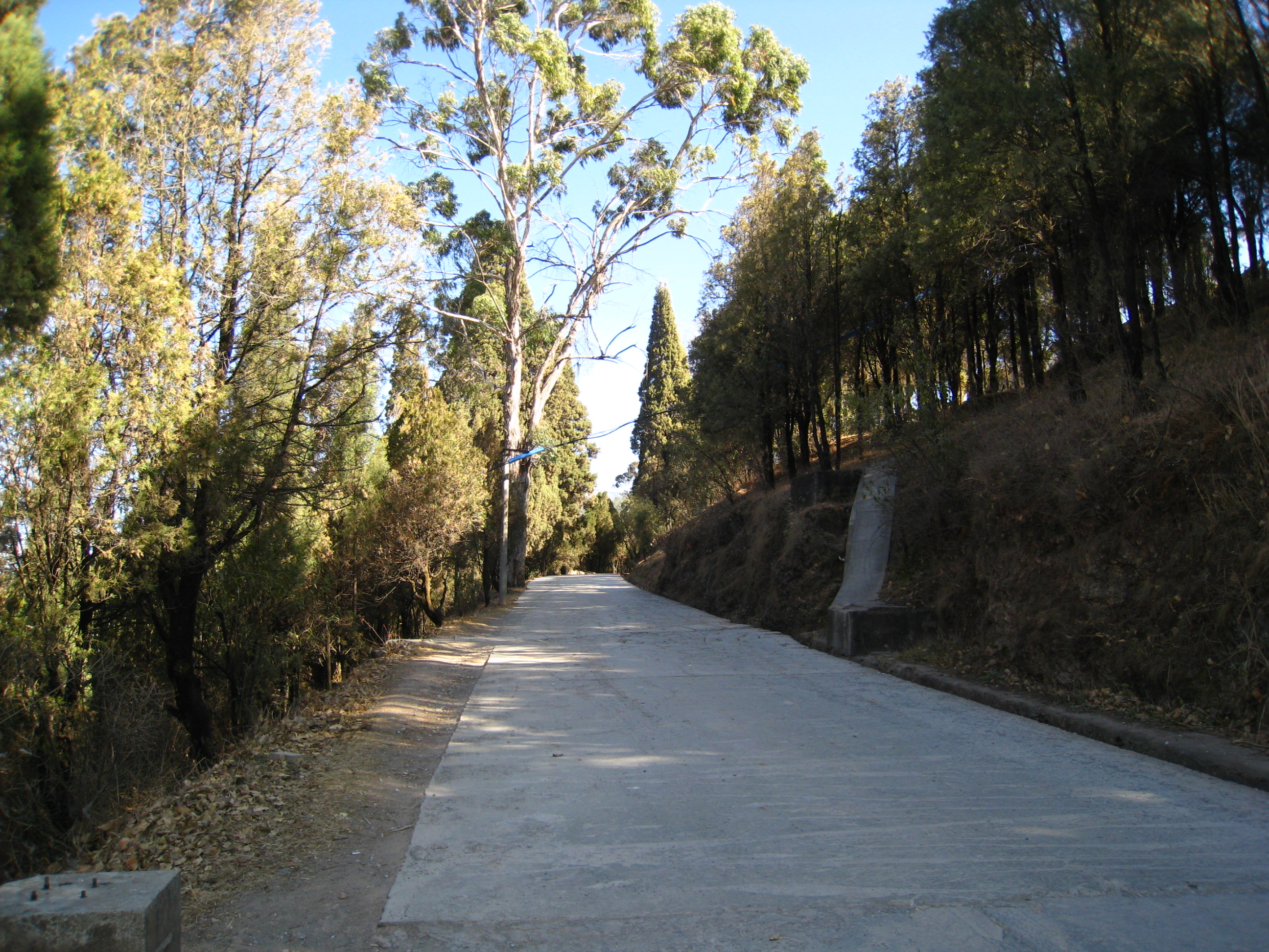 JAYA  丽江安缦-58