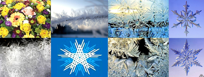 “sNezhnaya Russia”索契奥运会体育设施综合体设计丨俄罗斯丨A. Asadov的建筑工作室,“Project  KS”等-41