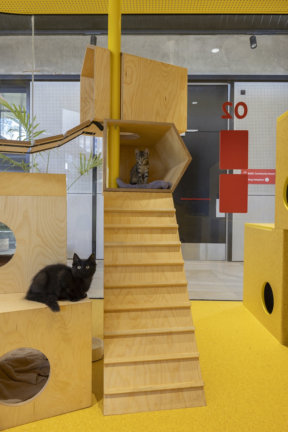 黑镇动物收容中心丨澳大利亚悉尼丨Sam Crawford Architects-46