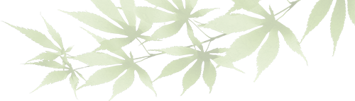 建好一座厂房造福一方百姓——四建铁军衢江建筑垃圾资源化利用工程施工纪实-1