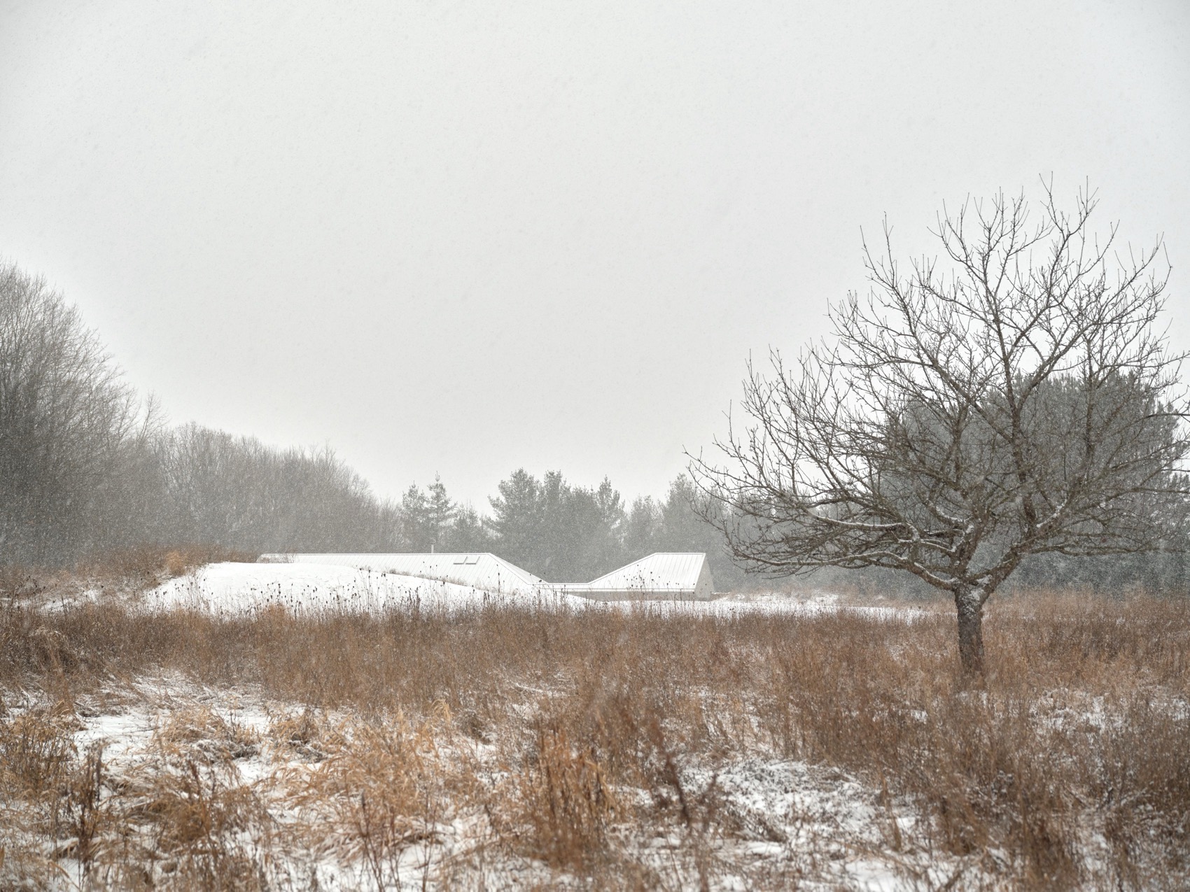 山脊住宅丨加拿大丨Superkül-13