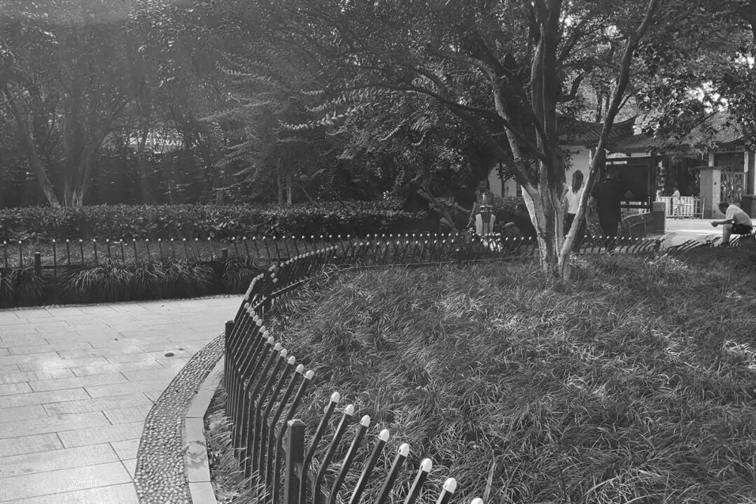 ASLA获奖作品 连接过去和未来的城市绿洲——嘉兴火车站景丨中国嘉兴丨致舍景观-46