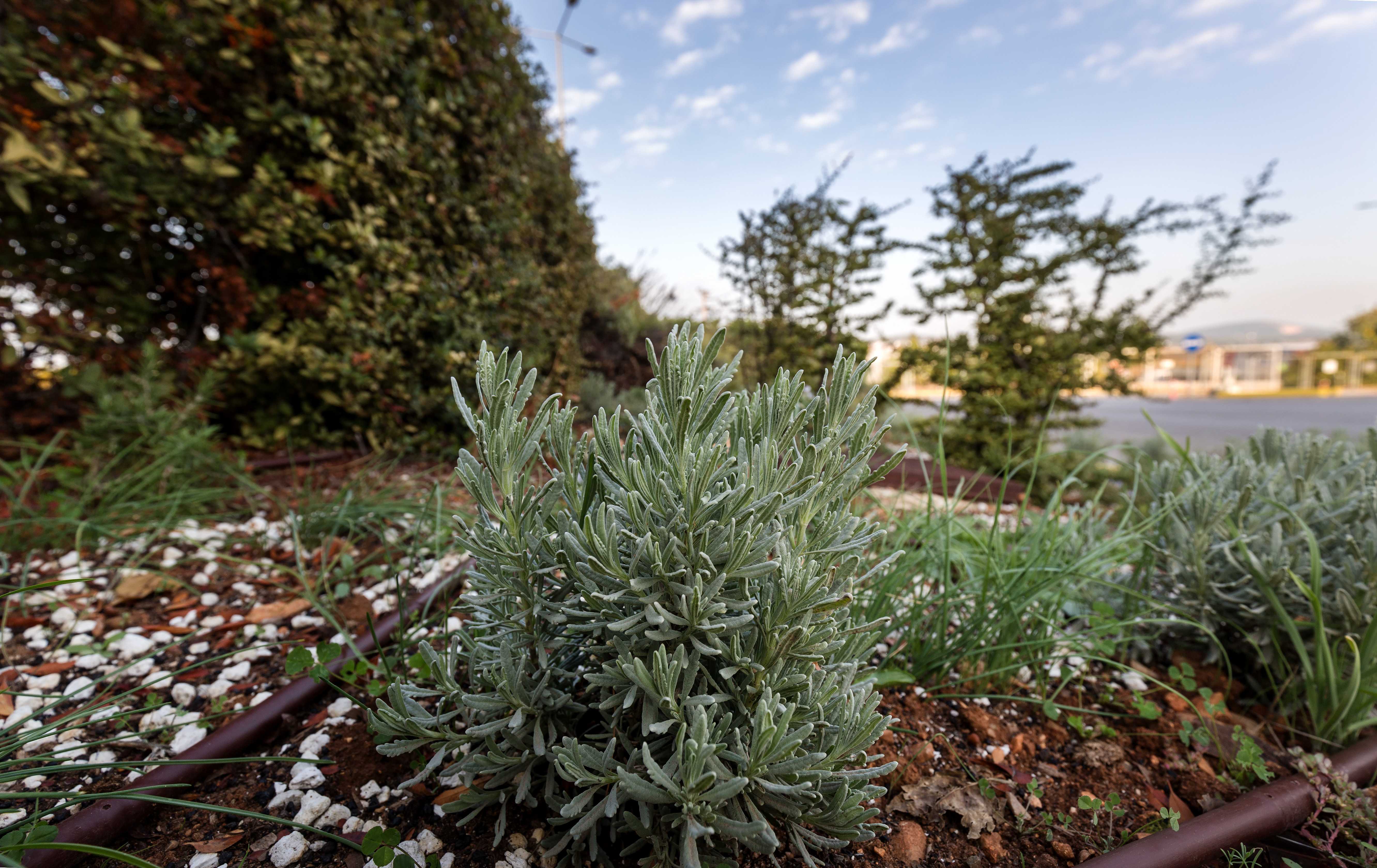 loreal hellas logistics outdoor areas-11