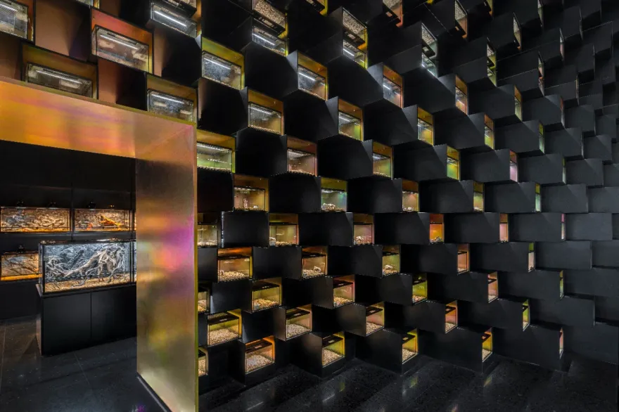 鳞动|其鳞· 爬宠体验店丨谢几点设计事务所(中国•广州)-34