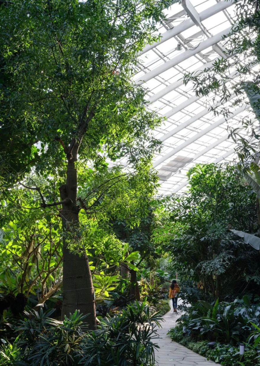 济南植物园科普馆丨中国济南丨中国建筑设计研究院-57