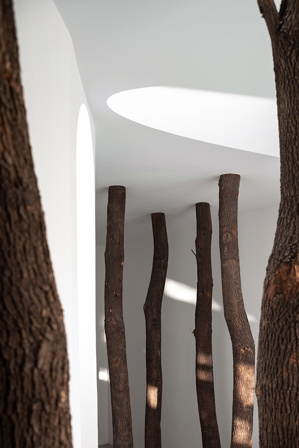 5号森林，无锡 / 精成空间设计-17