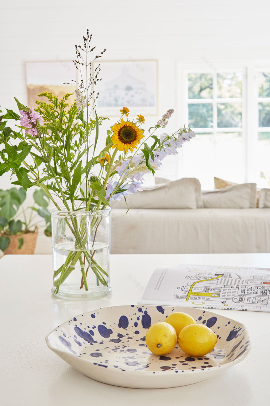 丹麦 40 平米小屋的明亮灵魂设计-7