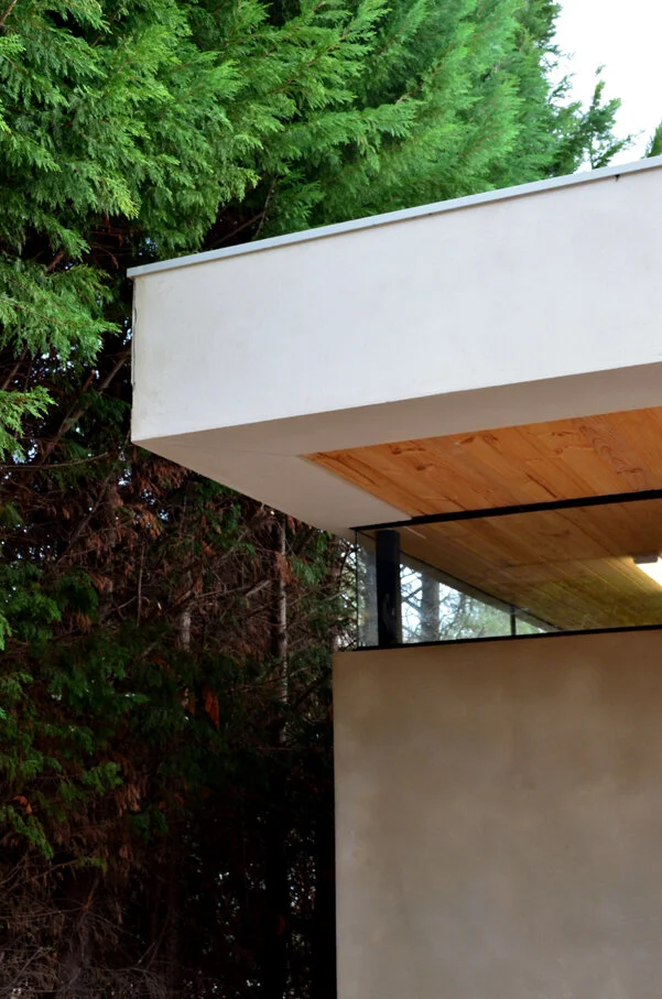 丨AustraliaGeelong丨ARTISAN ARCHITECTS-22