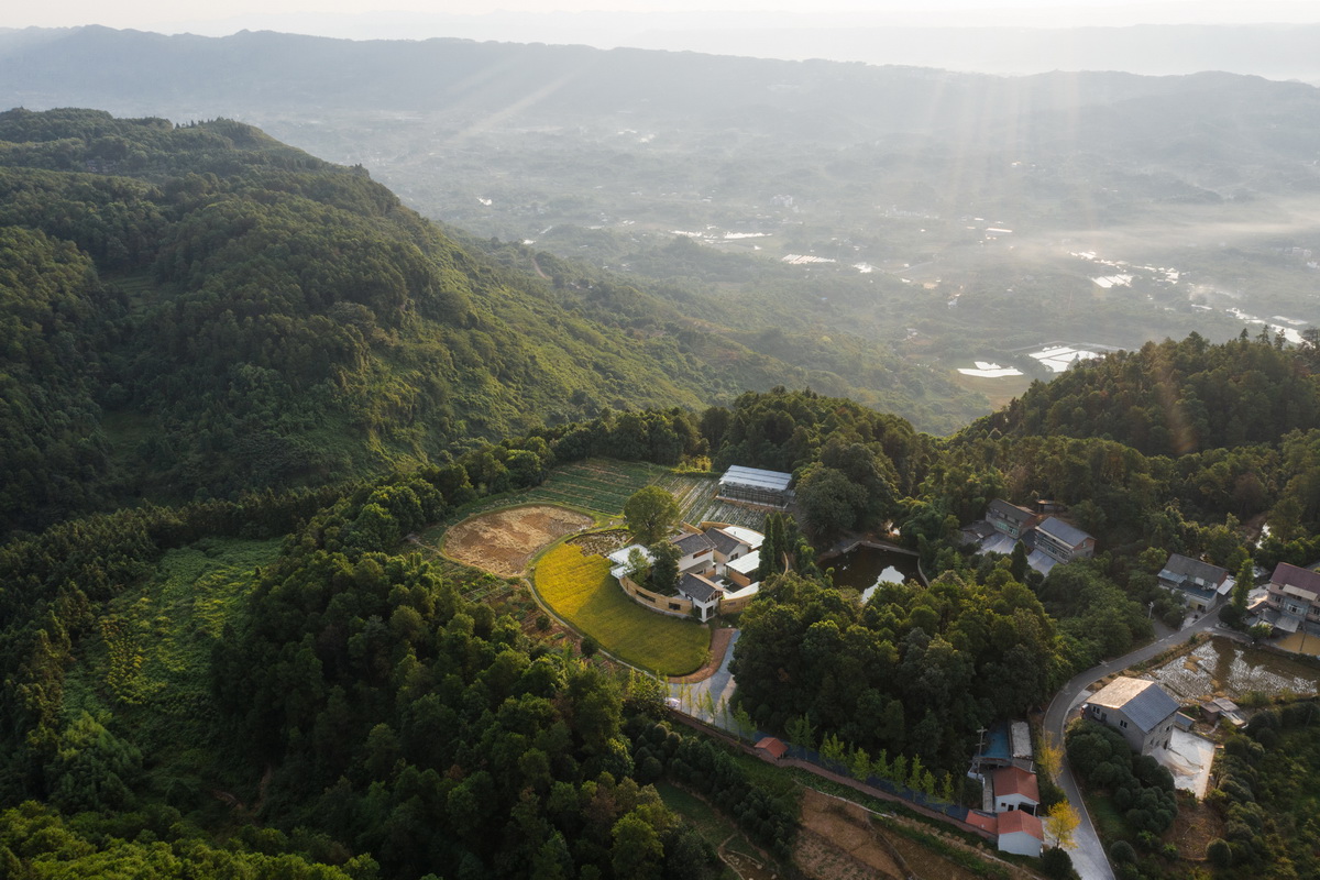 【案例分享】稻田·树下·椒园  -2