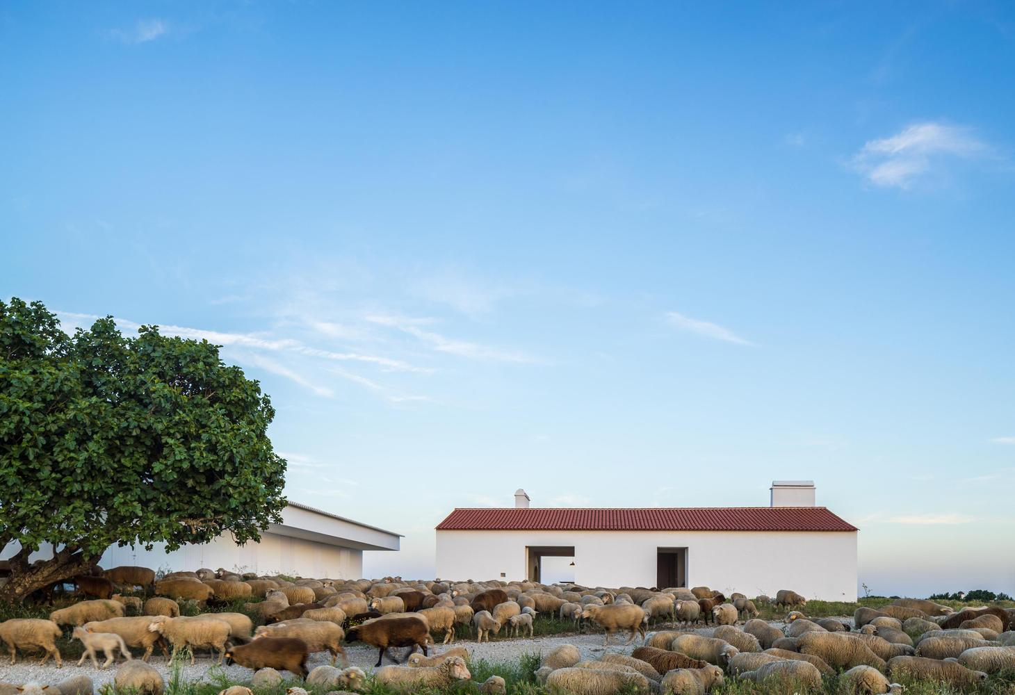 葡萄牙 Azaruja 村旅游项目 · Monte da Azarujinha-36