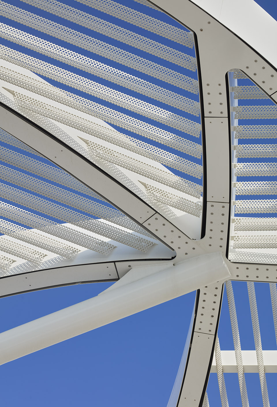 DC Ale·ander公园丨Brooks + Scarpa-69