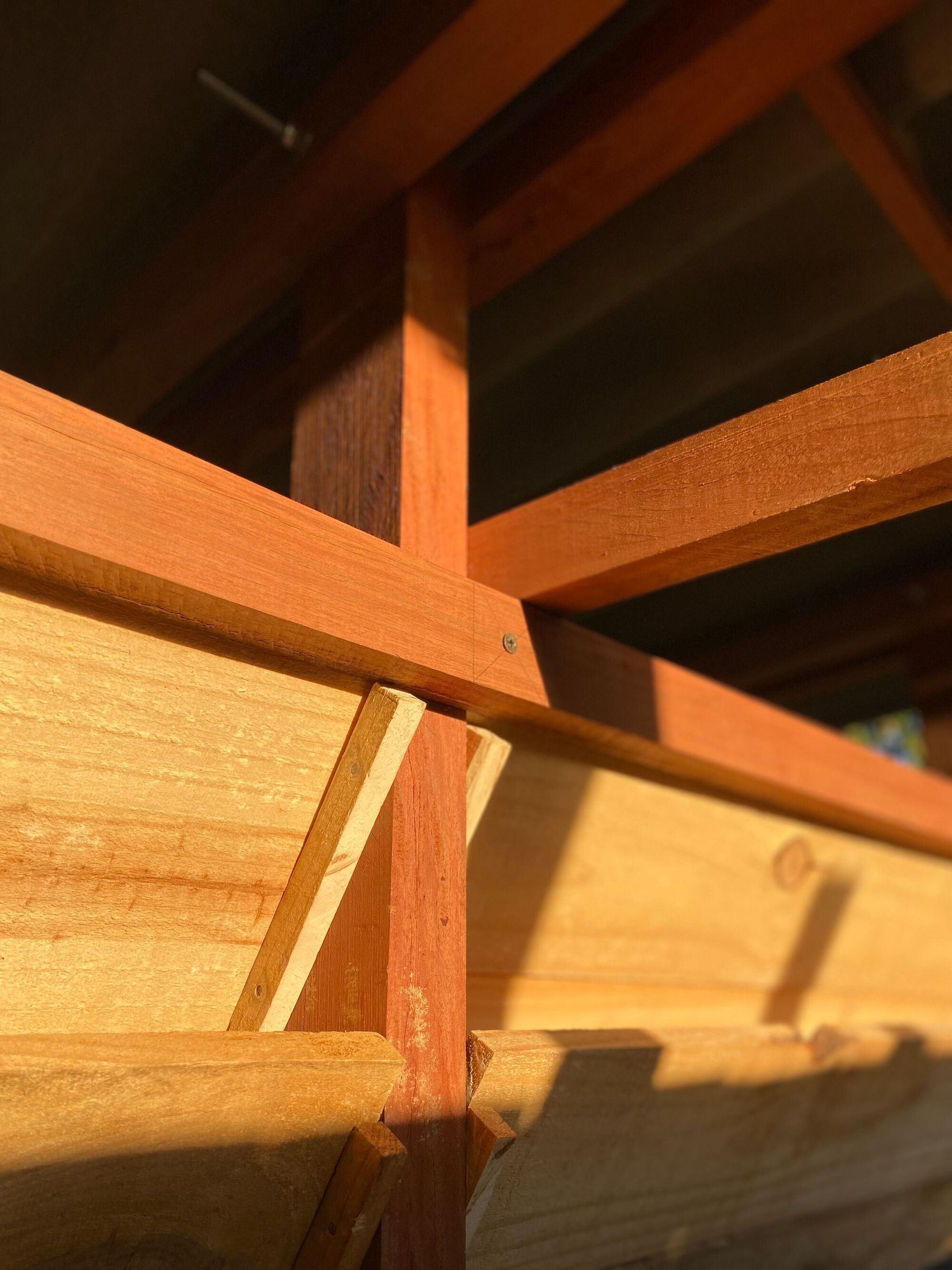 生态箱种子屋丨巴西丨PFLEX Escola de Arquitetura UFMG-33