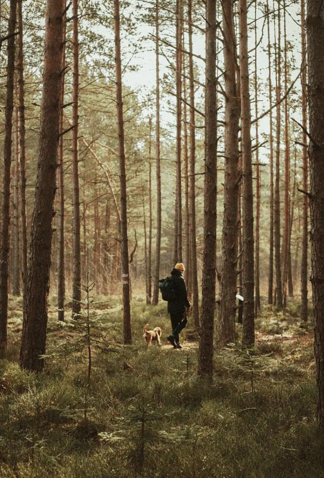 融创莫干溪谷·竹霖里丨中国湖州丨众睦设计-52