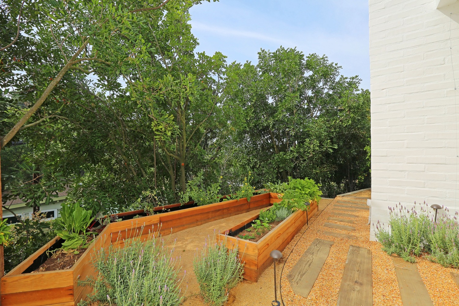 洛杉矶好莱坞山现代住宅丨Struere-17