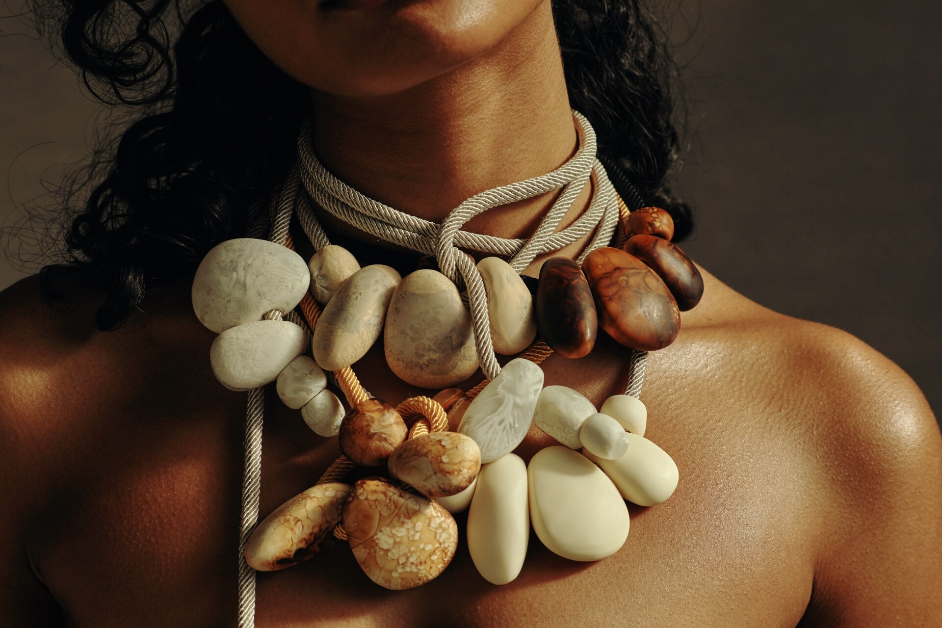 梦幻木林 · Dinosaur Designs 新系列-6