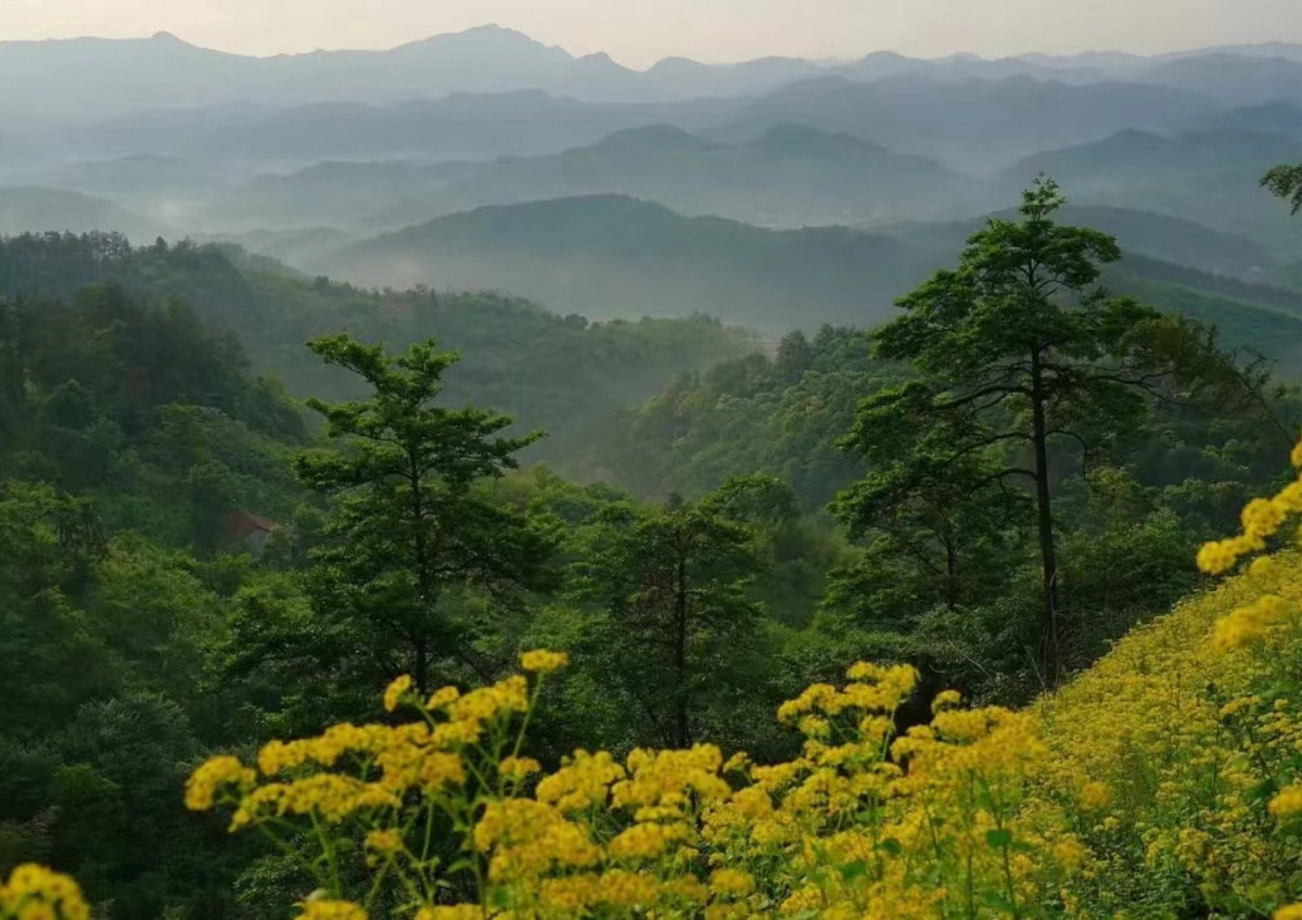 尧珈·养心墅丨中国浙江丨上海尧舜建筑设计有限公司-63