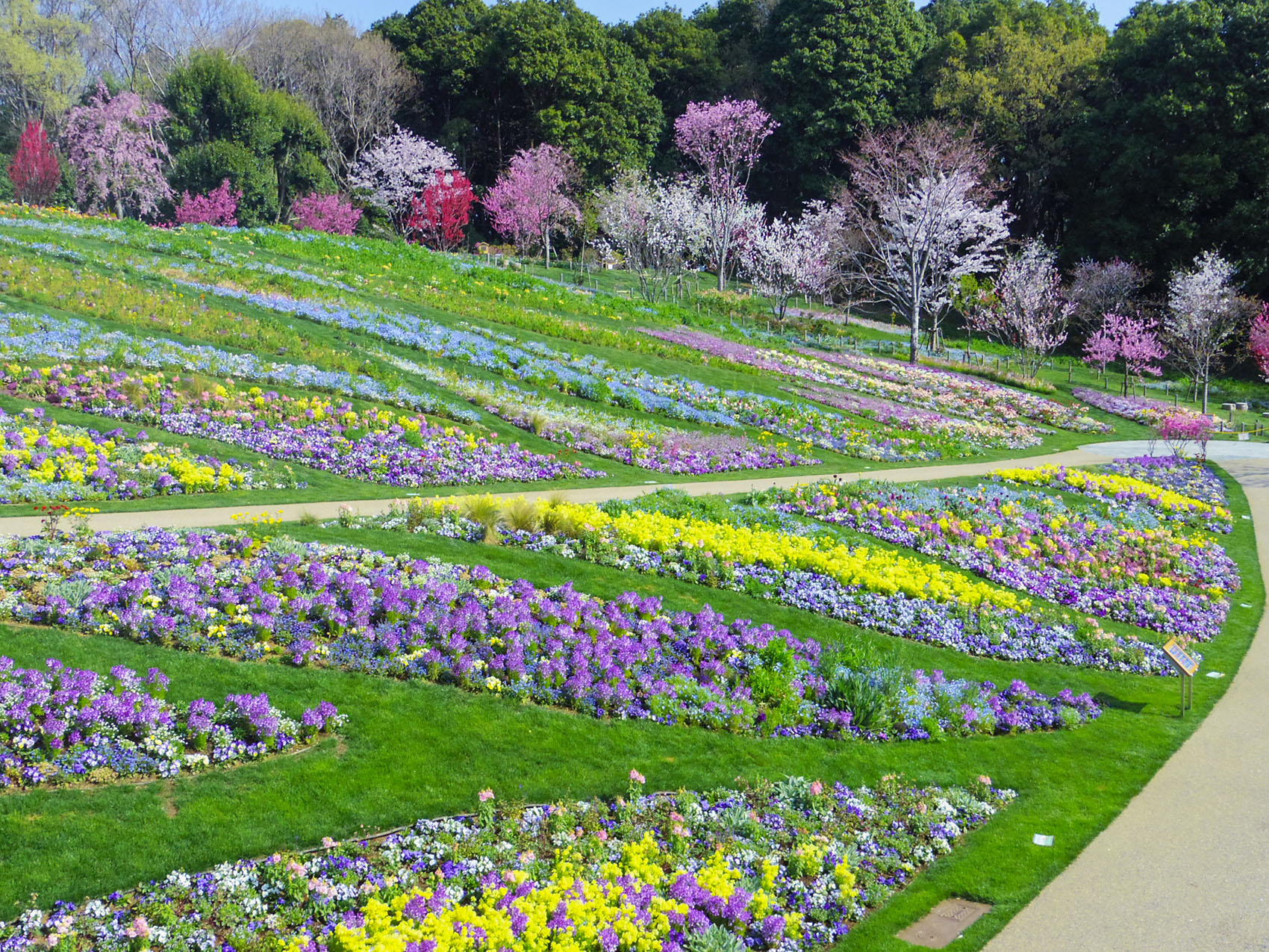 日本里山花园丨户田芳树风景计画-21
