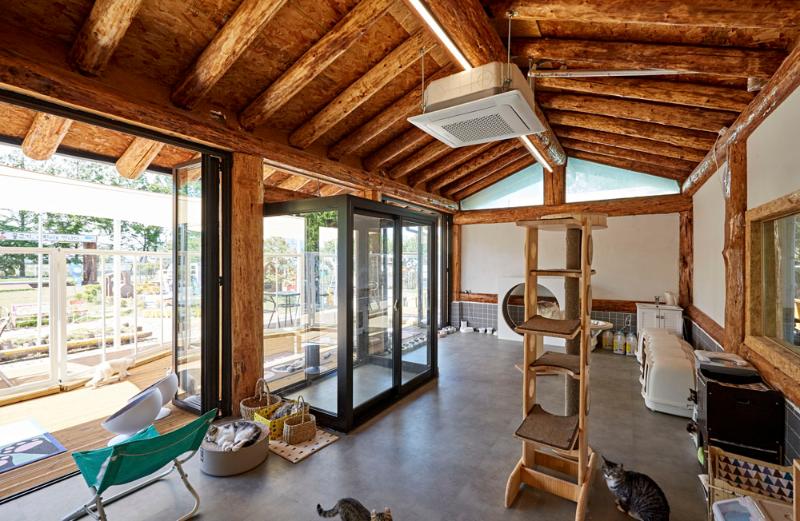 40 平韩屋猫咖，体验复古温馨-9