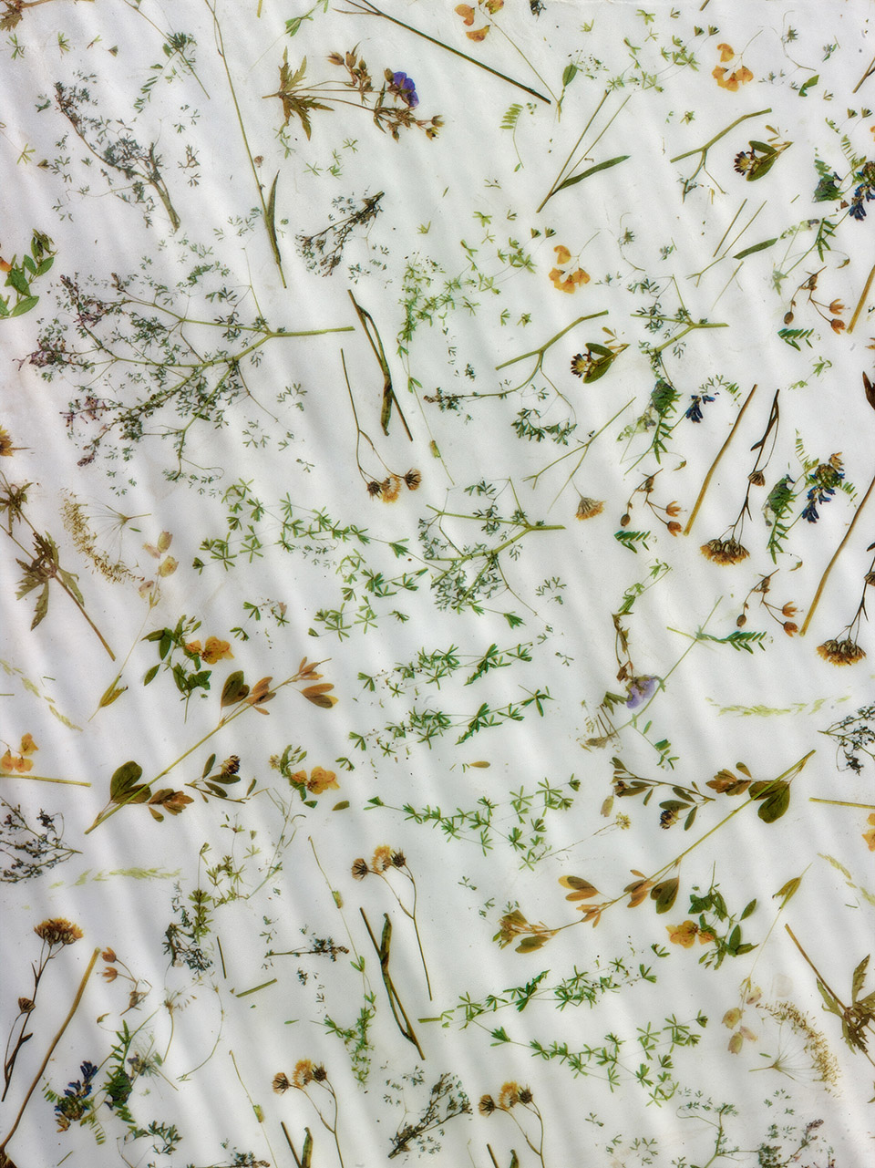 诺维比德佐夫老年之家丨捷克丨Architektura-64