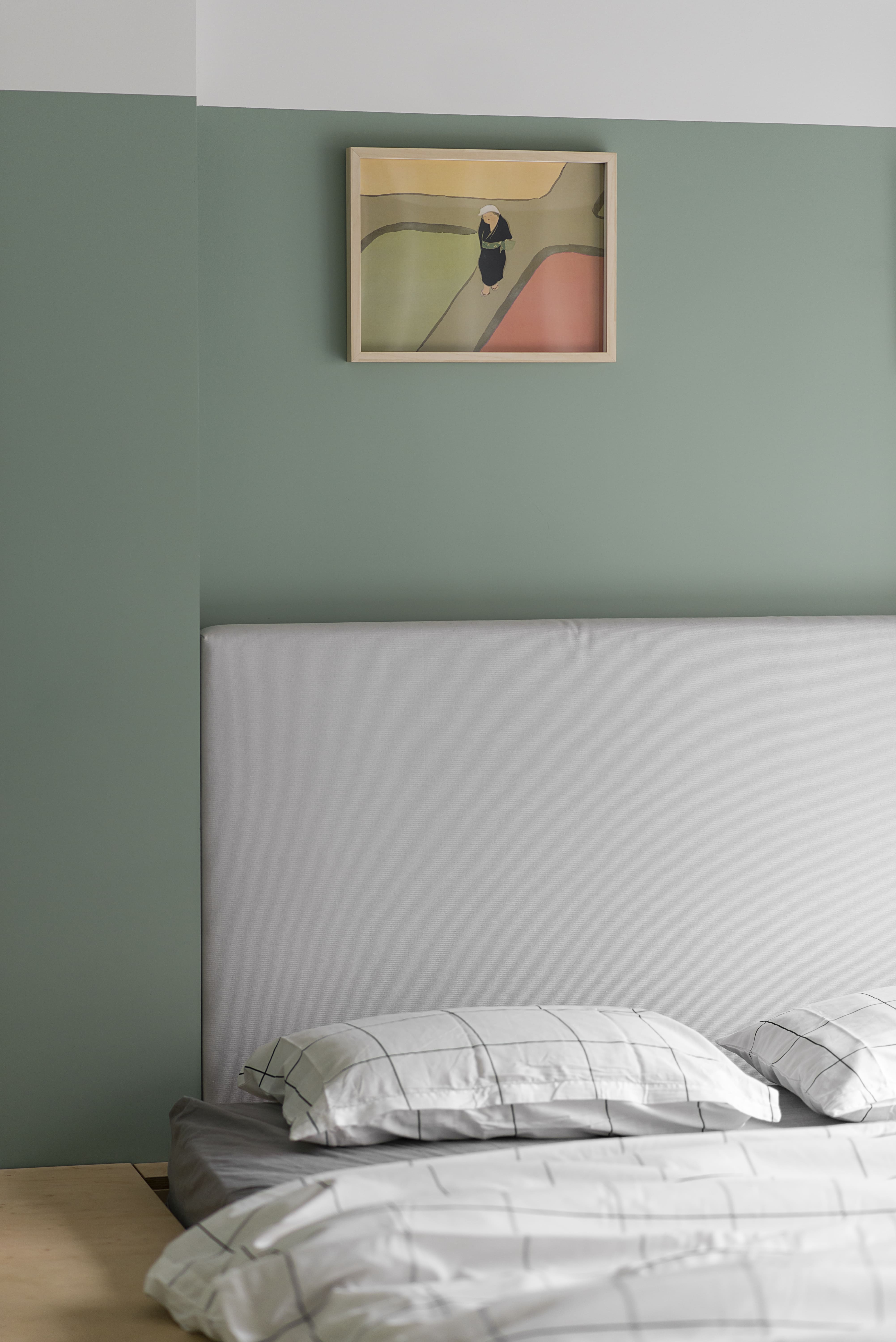 消失了的塔科耶-20