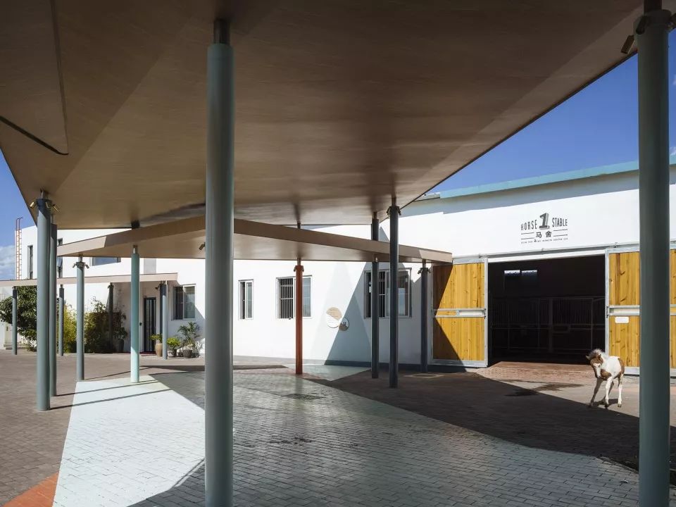 大料建筑新作首发 · 1座1万平米的“巨马”-38