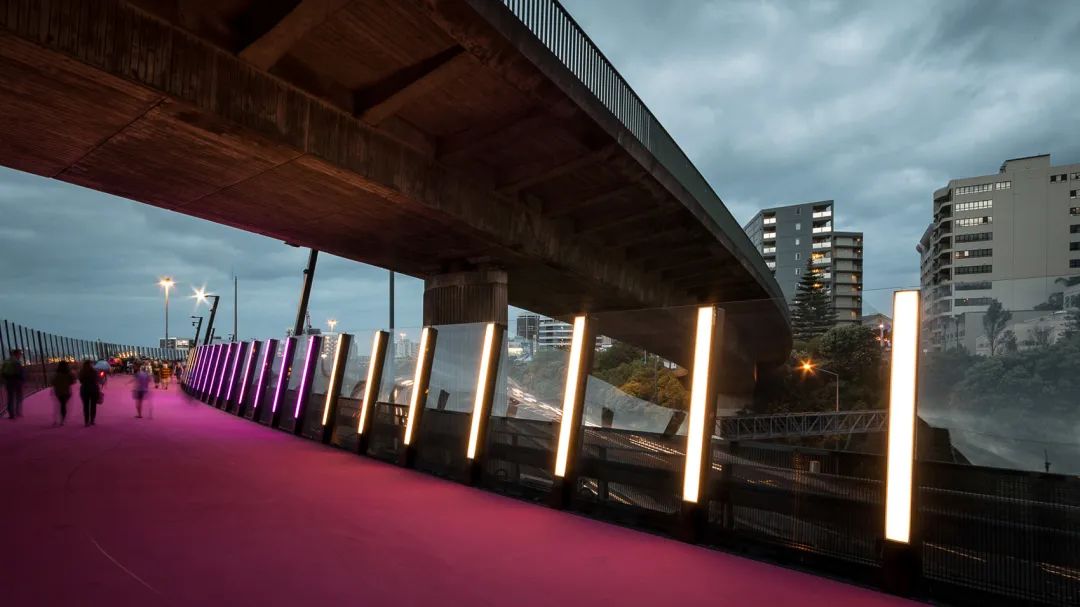 光之路丨新西兰奥克兰丨LandLAB-12