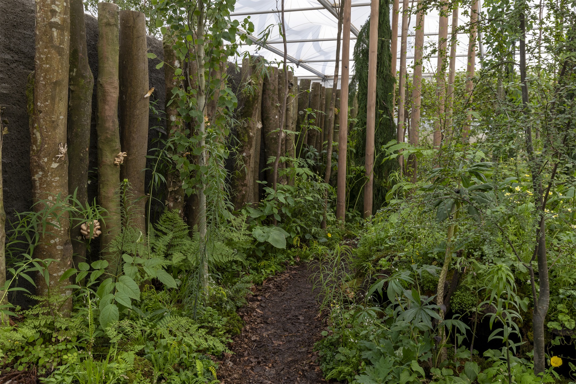 2024切尔西花园展获奖作品丨英国丨Royal Horticultural Society-144