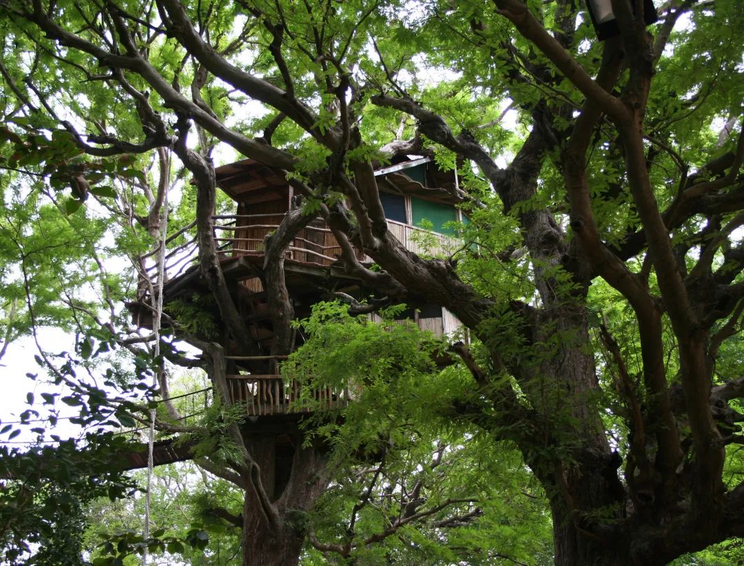 宛若天开丨成都麓湖红石公园四期丨中国成都丨易兰规划设计院-114