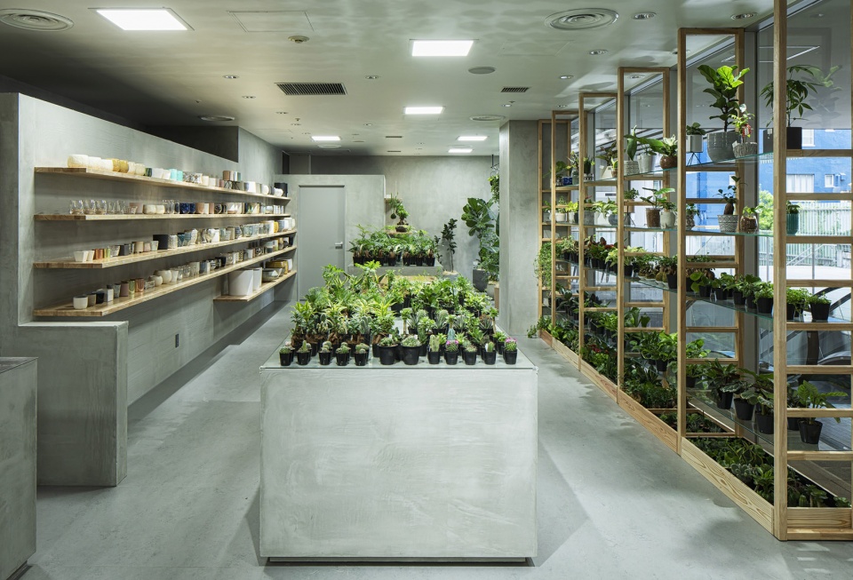 HITOHACHI 盆栽商店-16