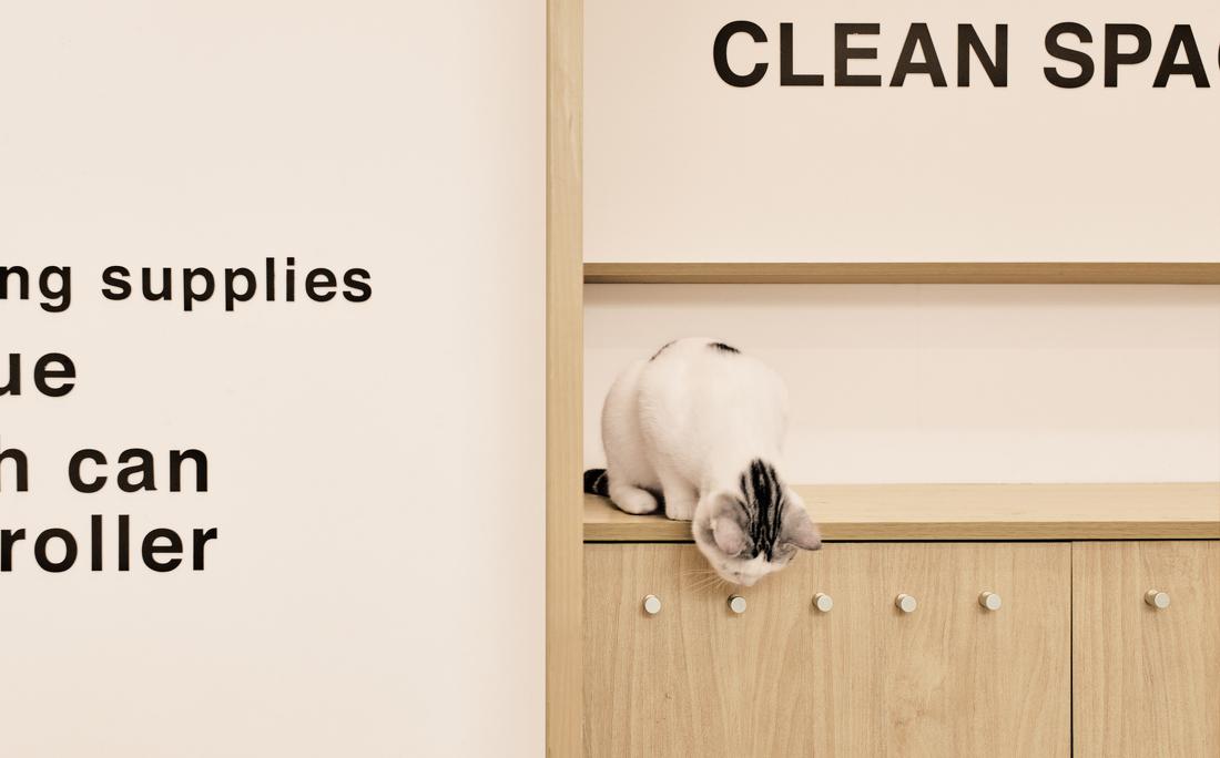 喵星人入侵 · 猫咪共享空间丨中国青岛丨黄士华-32