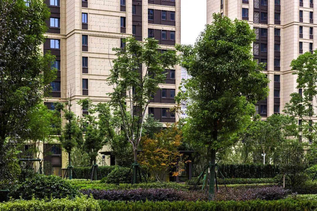 归心交付｜淮安·融创广场：城市生活新样本，与三千里运河美好相逢-32