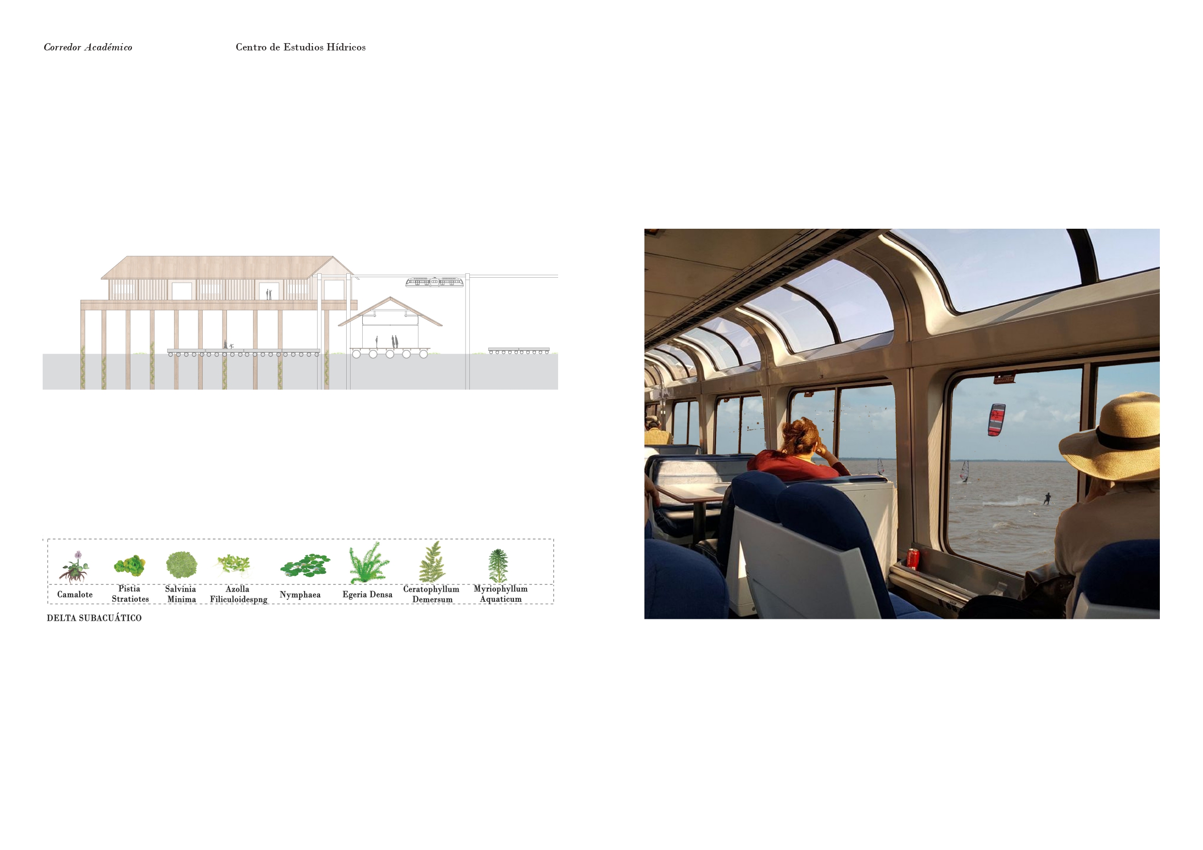 Rio de la Plata | El Nuevo Monumento-26