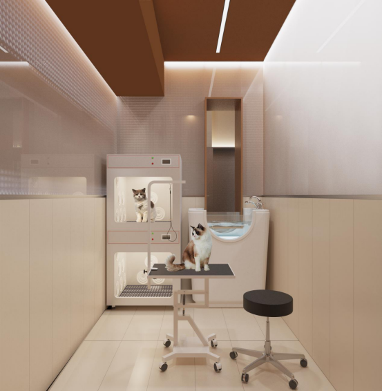 沈阳宠哒令 Pet Darling,前卫精致的空间魔法-59