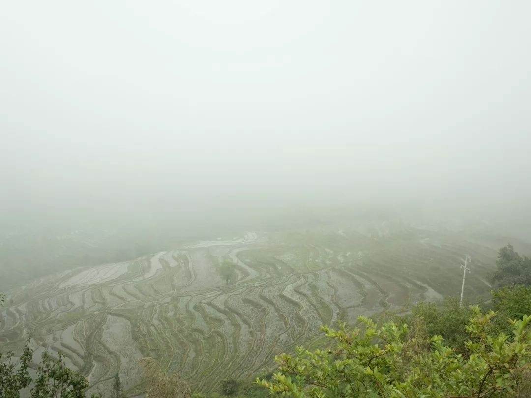 雾中苏红 | 自然、情感与时间的交融-8