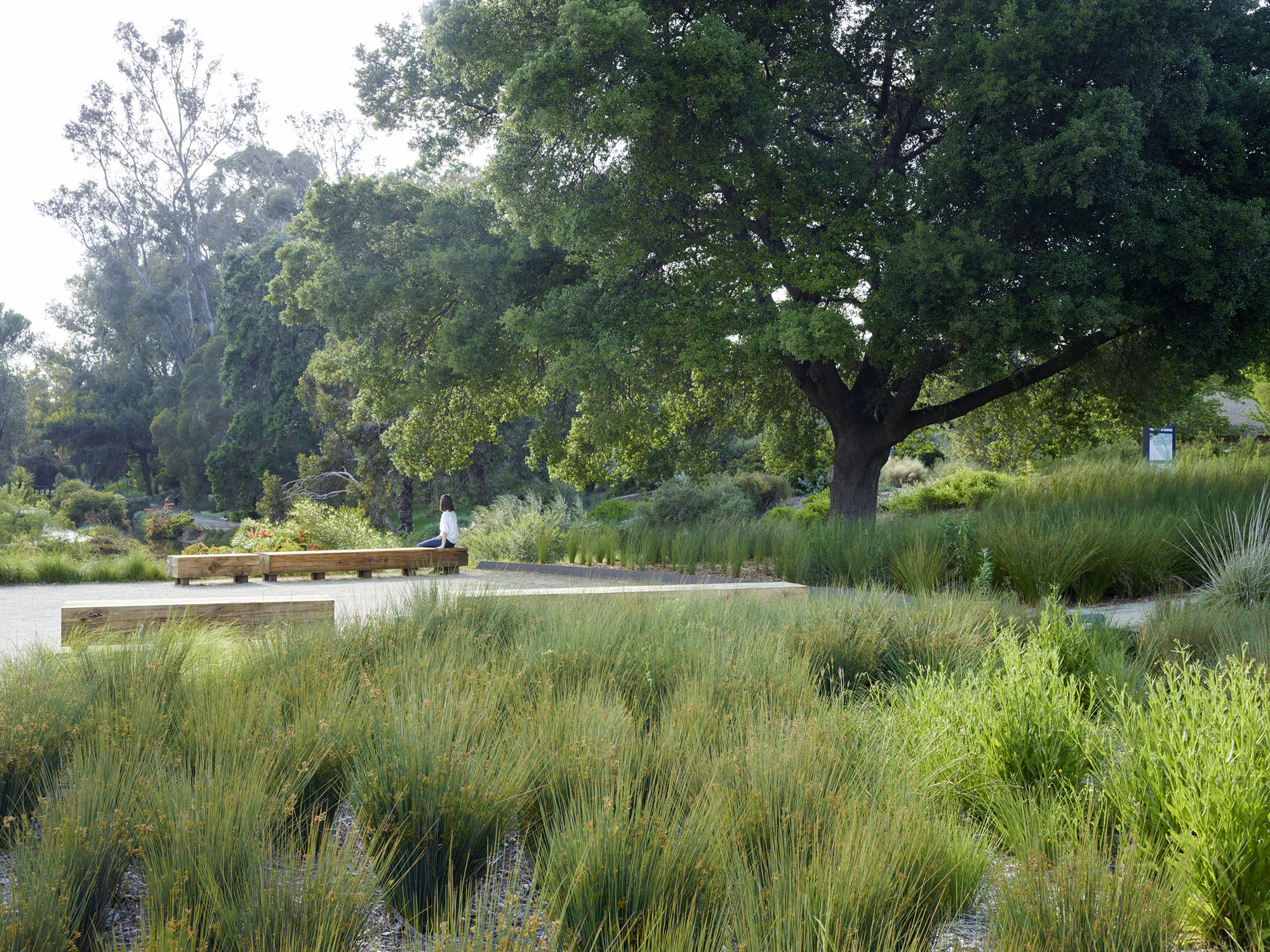 植物园大门的花园 arboretum gateway garden by Lutsko Associates Landscape-1