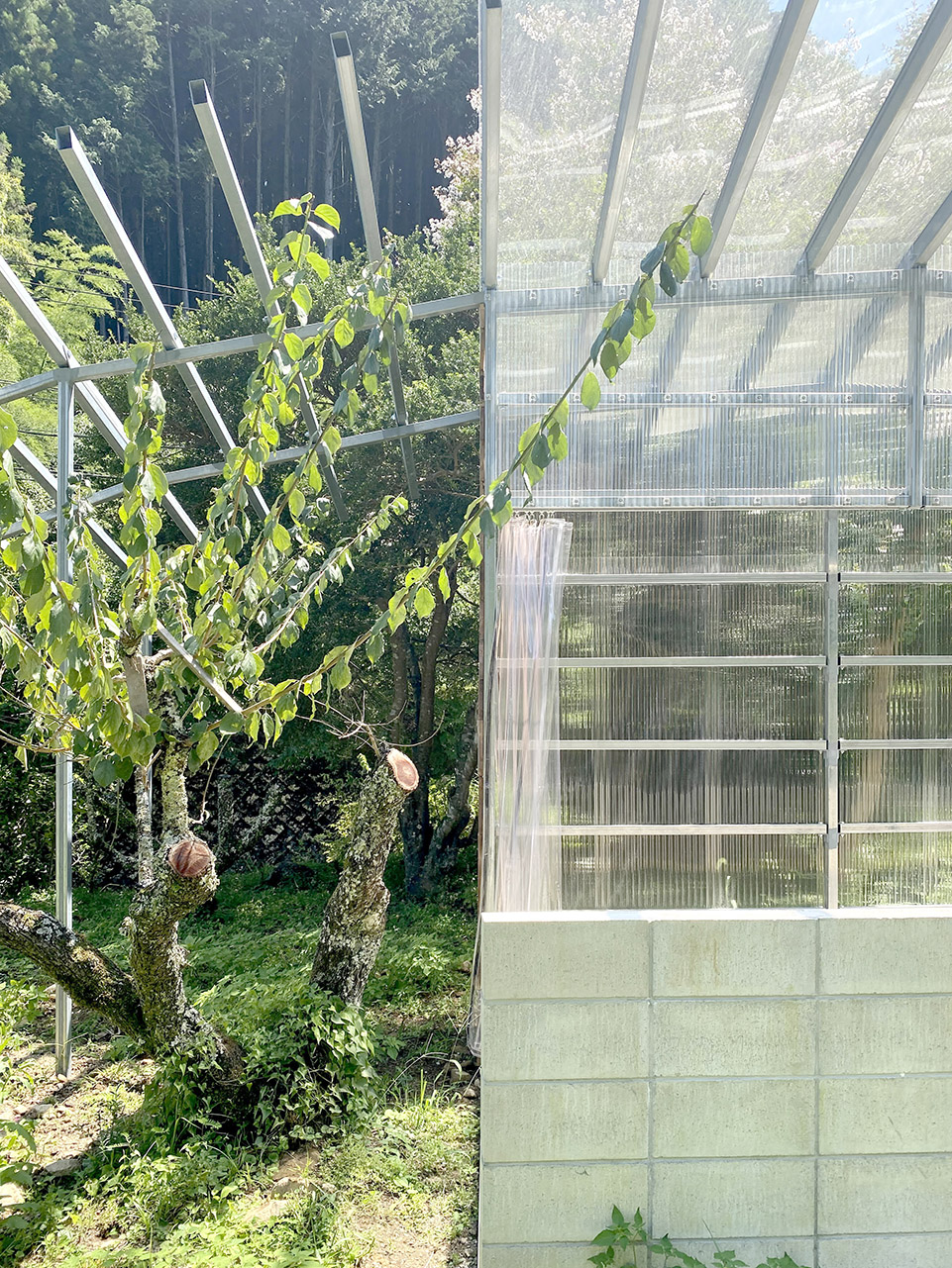 廊架住宅丨日本静冈丨Takayuki Kuzushima and Associates-93