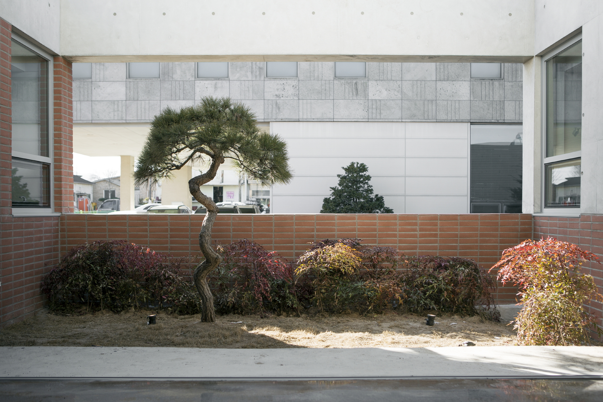 伊利库克长老会教堂丨韩国丨Oh Jongsang-28