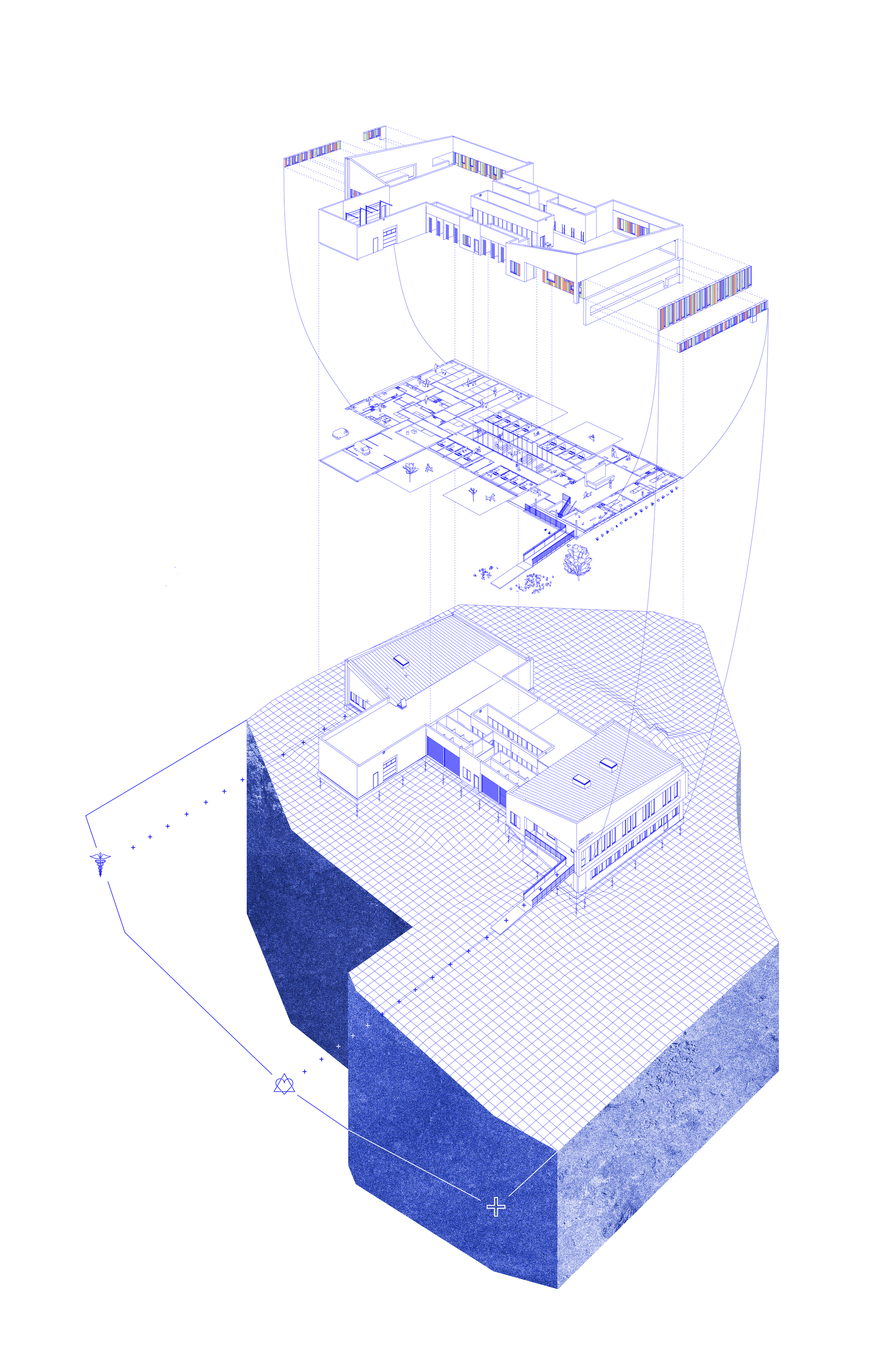 密歇根动物救援联盟丨美国丨PLY+-4