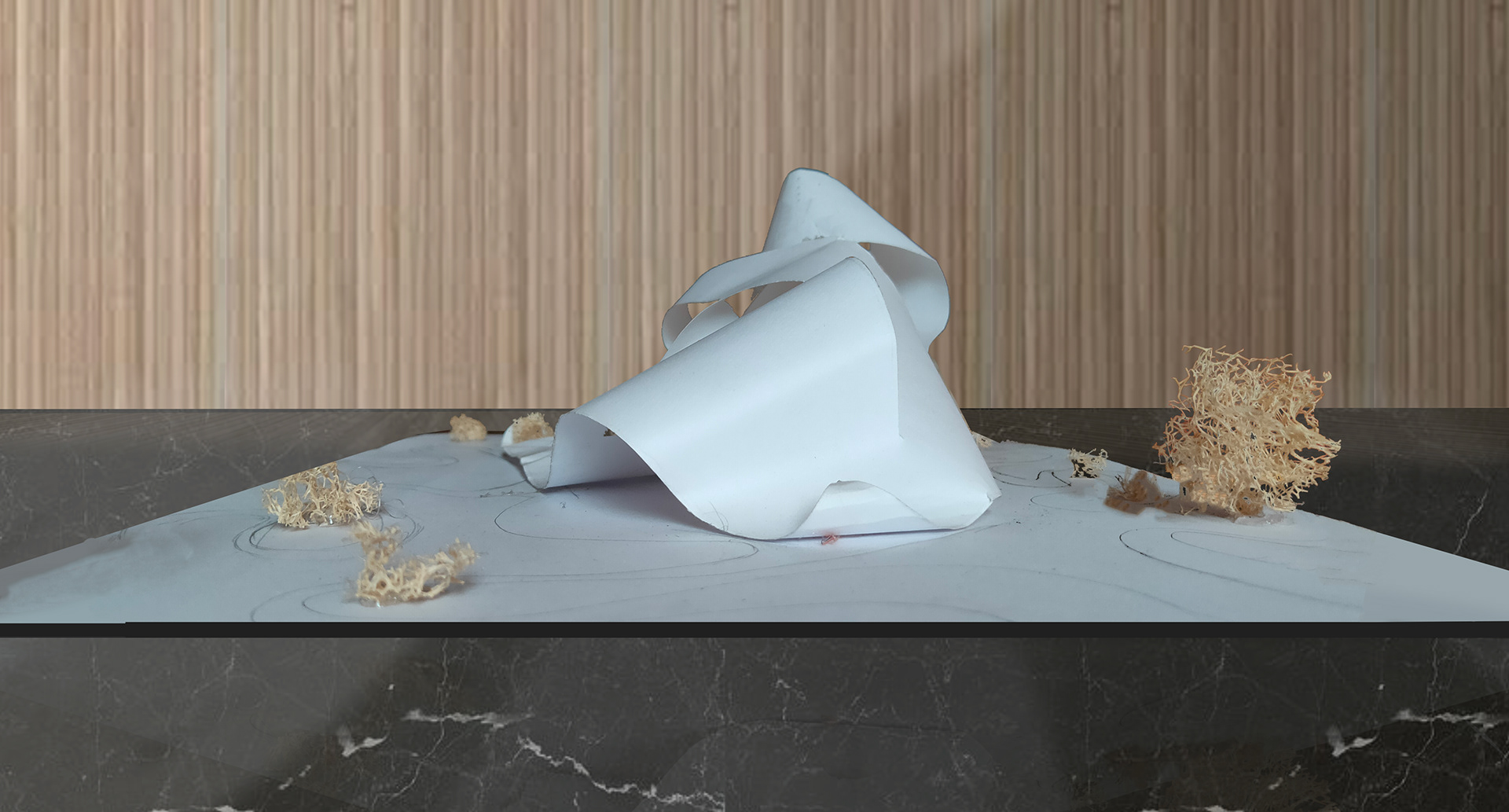 parametric experimental project-9