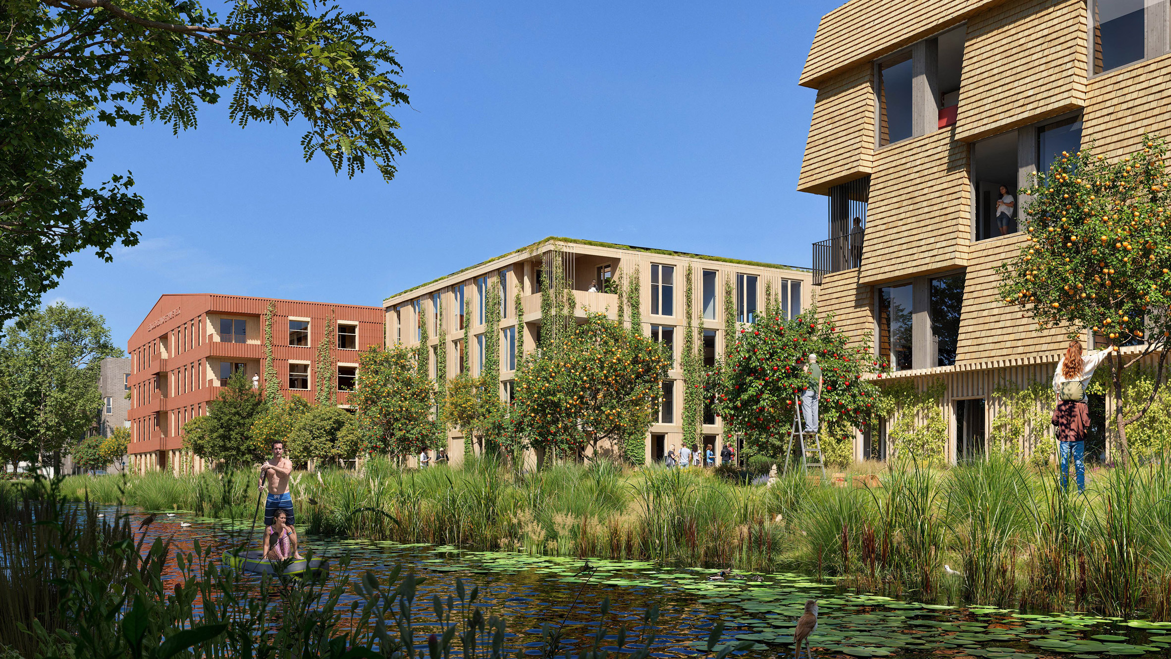 建筑丨荷兰阿姆斯特丹-0