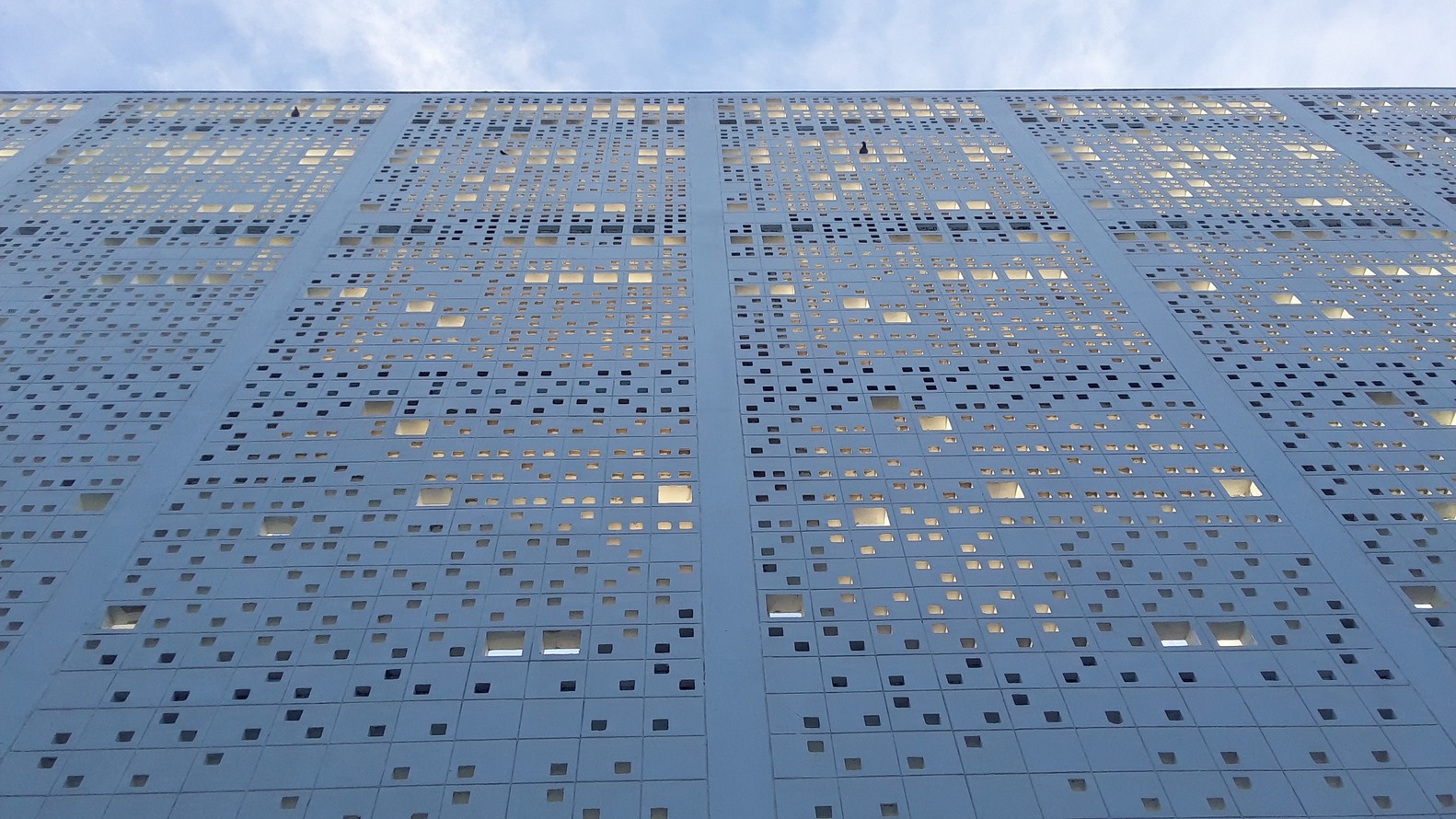 The British School  Morphogenesis-34