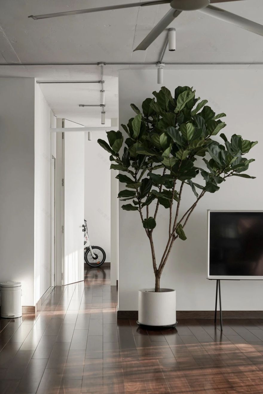 白色简约单身公寓室内设计丨注重人文情怀的现代室内设计社-8