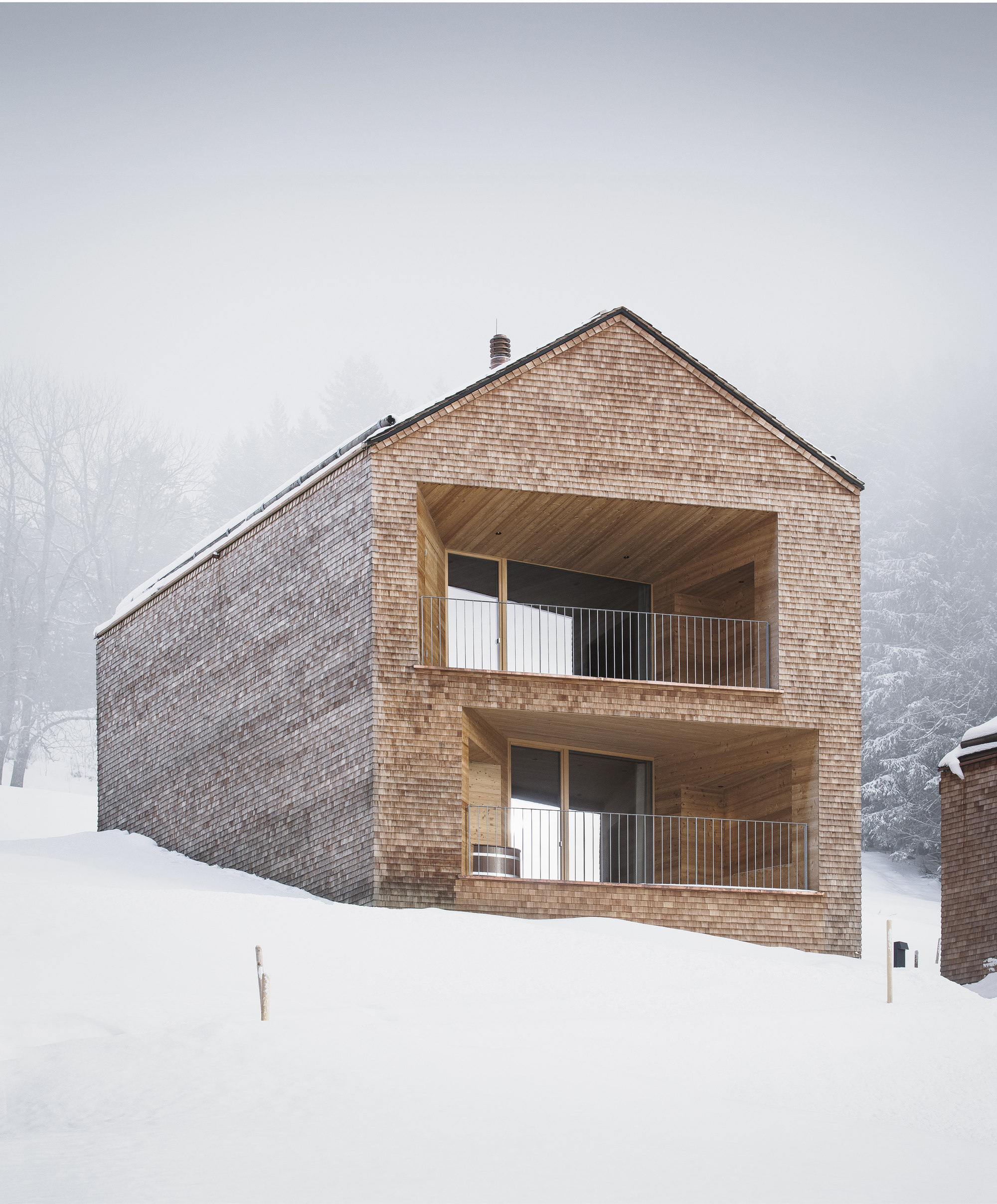 彼得霍夫阿尔卑斯山皮毛酒店丨Austria丨Baumschlager Eberle Architekten-17